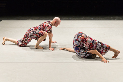 Hier kommt der Alt-Text später rein.